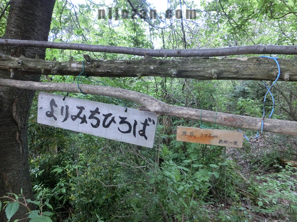 よりみち広場