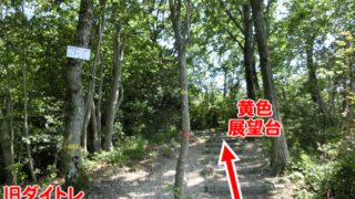 ダイトレ→旧ダイトレ分岐