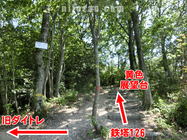 ダイトレ→旧ダイトレ分岐