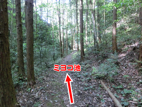 ミヨコ池へ