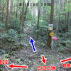 ミヨコ池十字路