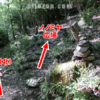 新道分岐