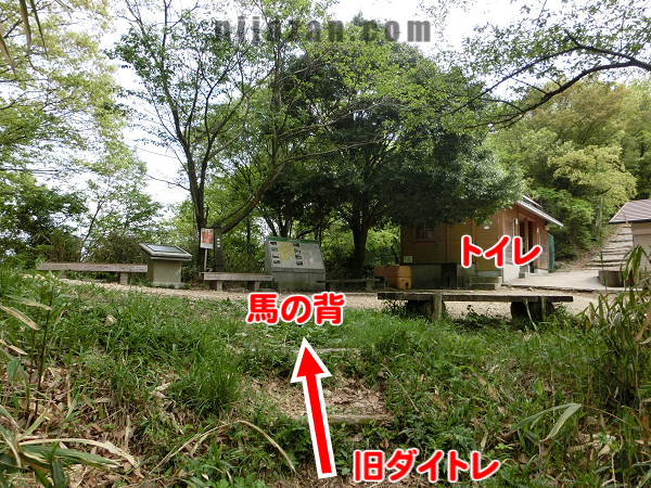 旧ダイトレ→馬の背