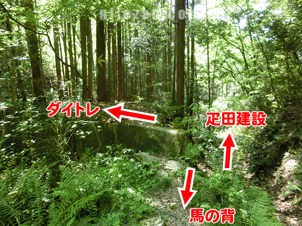 旧ダイトレを下る方向
