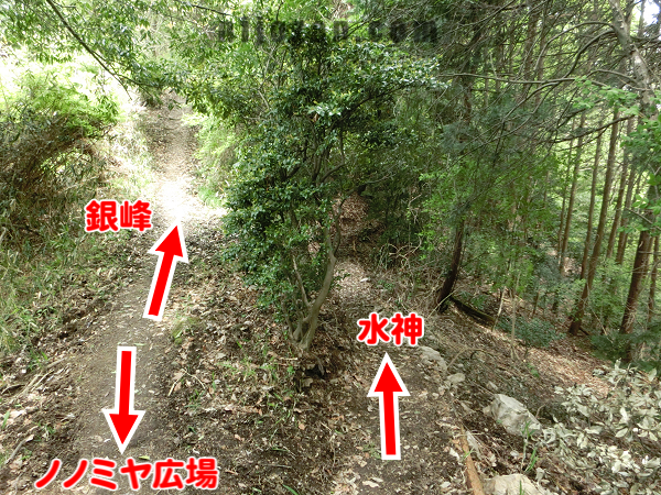 水神-銀峰線分岐