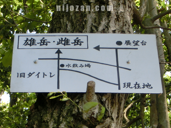 水飲み場の表示