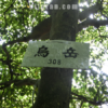 烏岳(からすだけ)