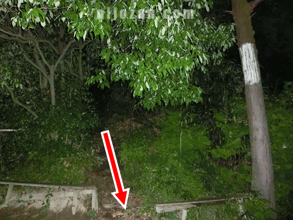 白丸_ながめ坂
