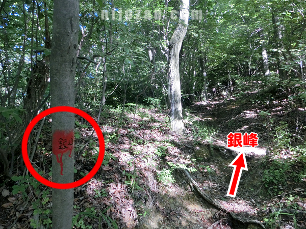 赤印_銀峰分岐