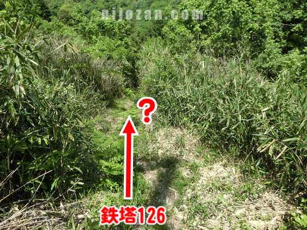 鉄塔126から旧ダイトレ方向