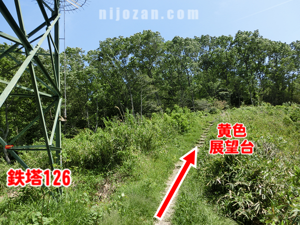 鉄塔126を通過してダイトレを進む