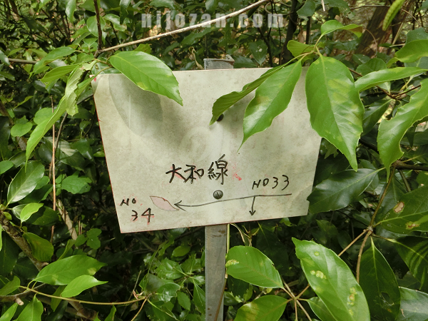 鉄塔33_火の用心