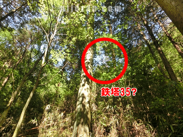 鉄塔35らしきもの_クイコ谷