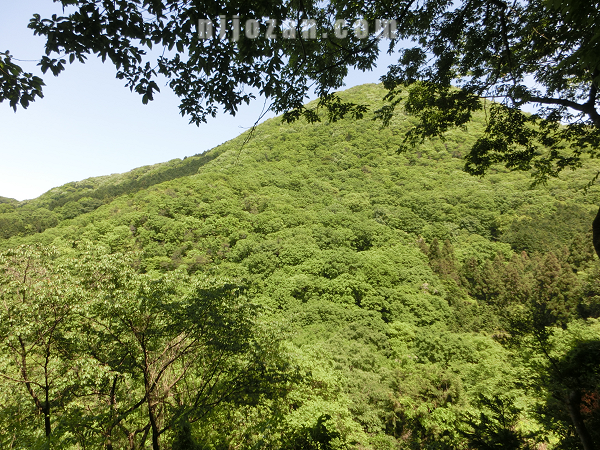 雄岳を眺めながら休憩