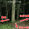 鳶塚_ながめ坂_分岐