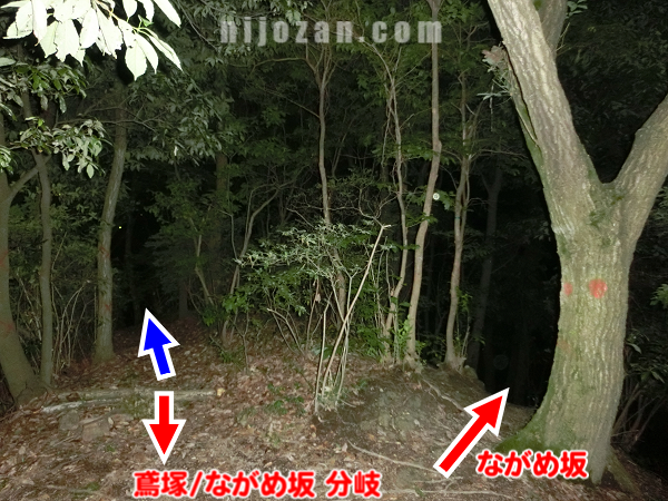 鳶塚_ながめ坂分岐-ながめ坂間分岐