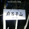 麻呂子山