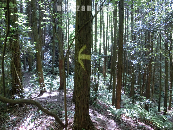 黄色矢印