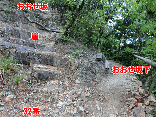おおせ坂分岐