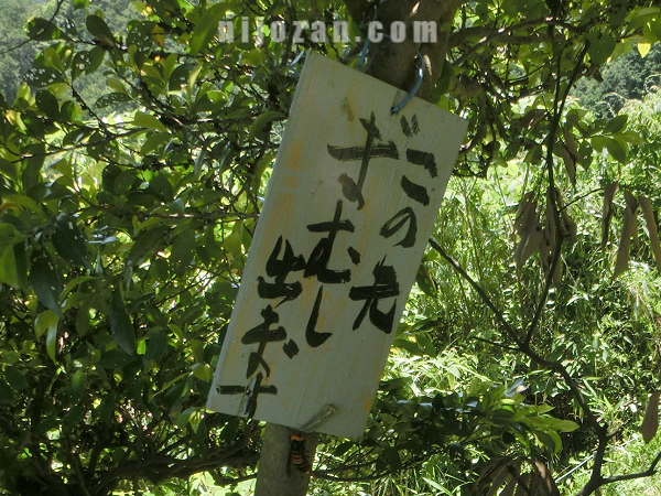 この先「マムシ」出ます