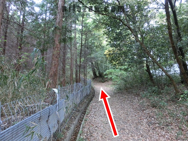 フェンスをスルー_加守神社