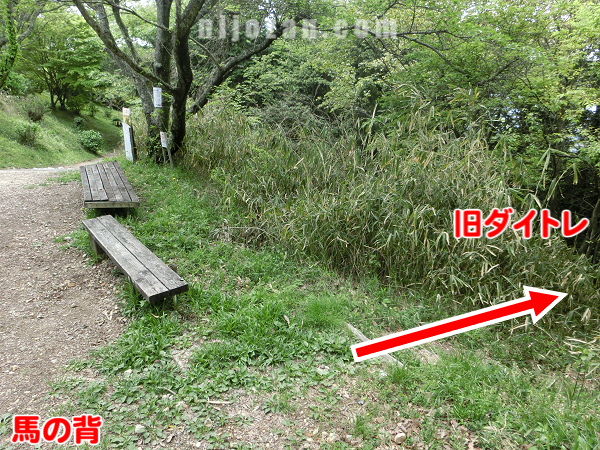 旧ダイトレ_馬の背