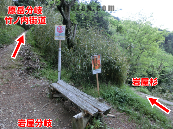 番号板23
