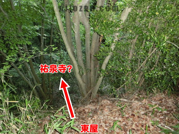 雌岳東屋から祐泉寺
