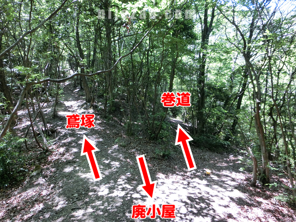 鳶塚分岐